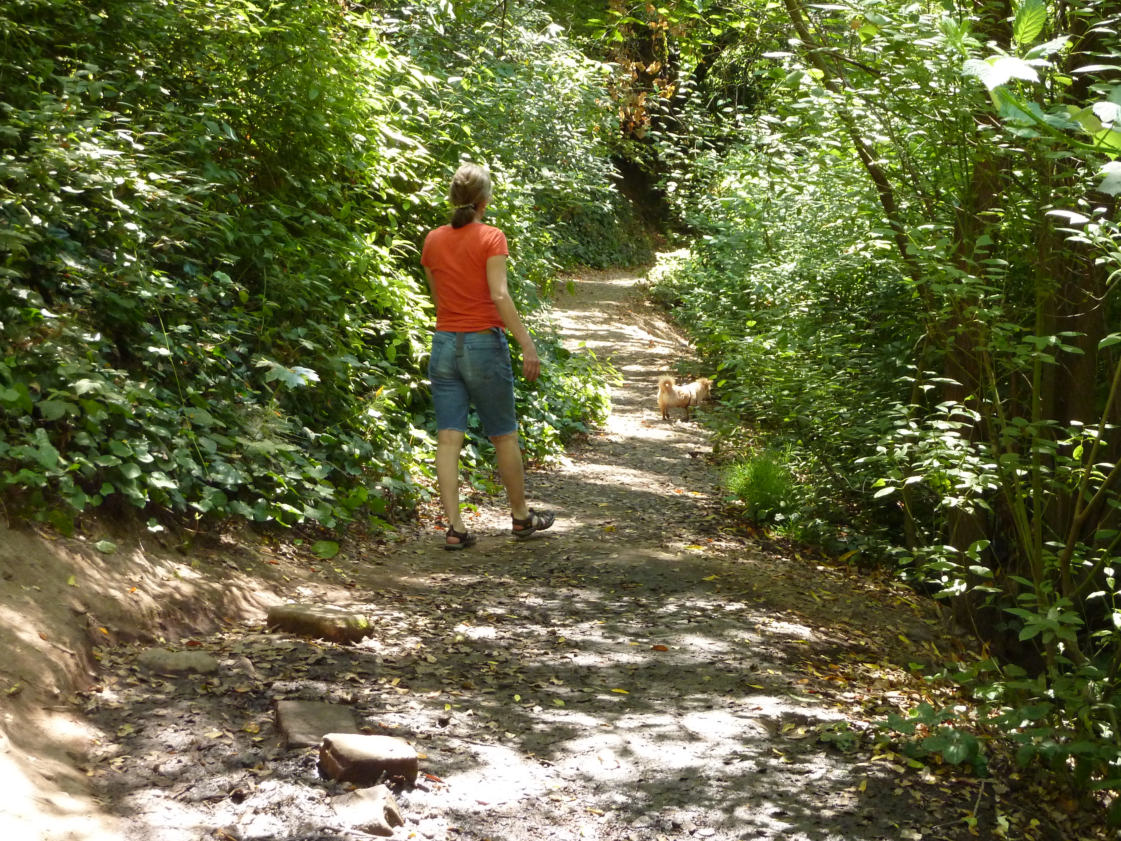 Sausal Creek trail