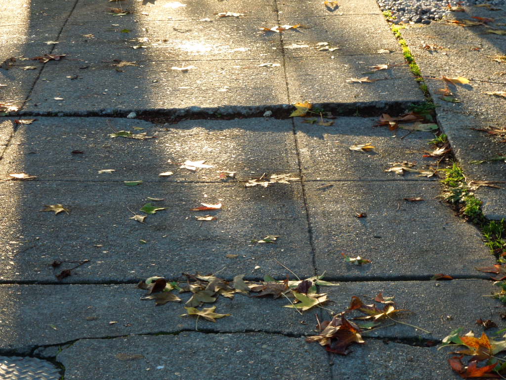 Sidewalk crack 2
