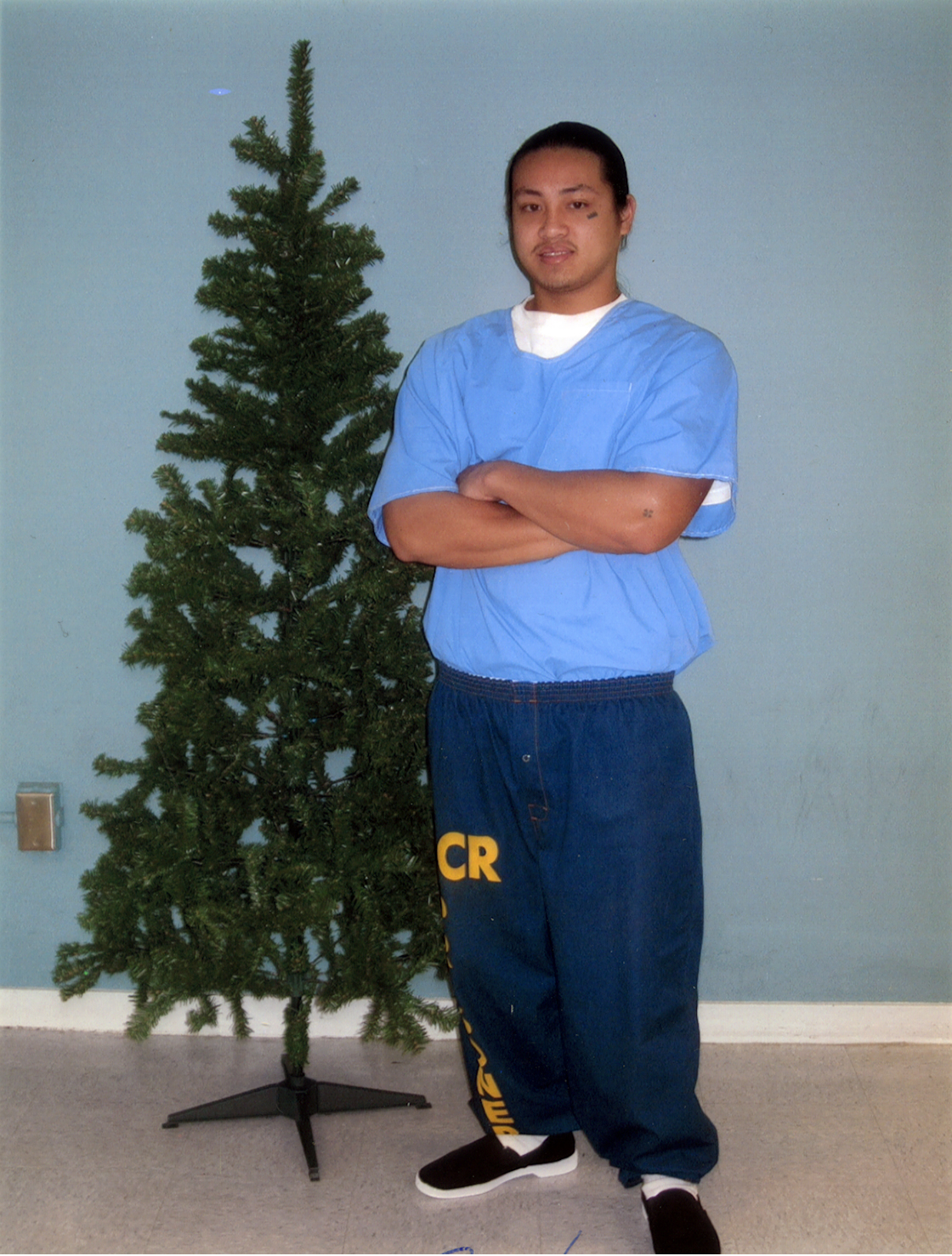 Lam with Christmas Tree
