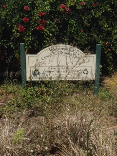 Foothill Blvd. entrance sign covered in weeds