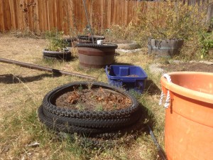 Old bicycle tires serve as backyard planter