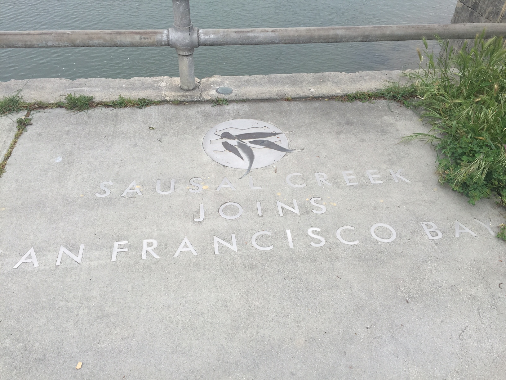 sausal creek joins SF bay