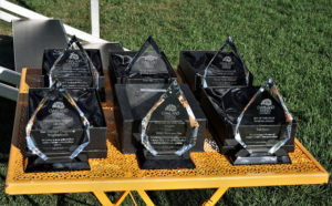 The Townie Awards on display